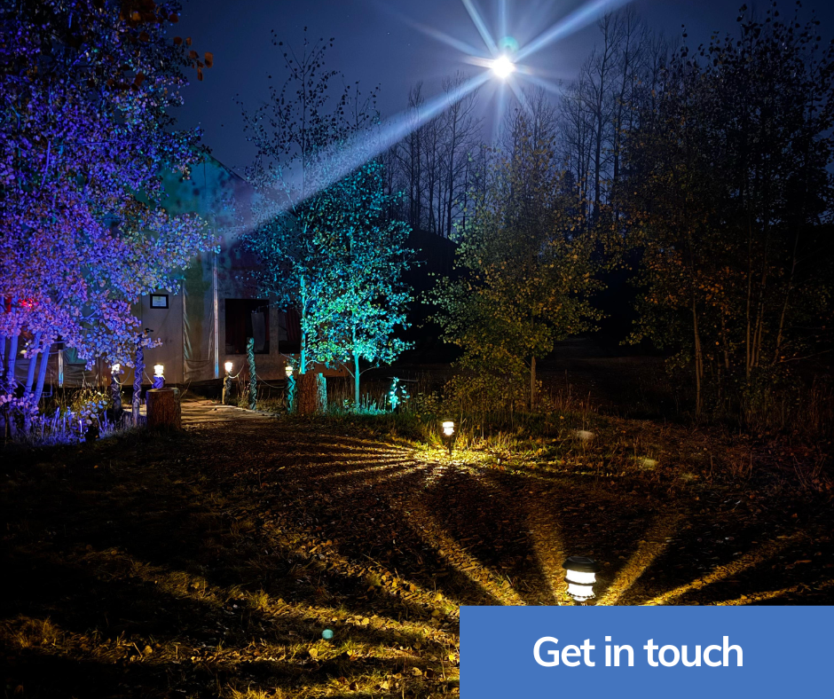 Men standing in woods at night